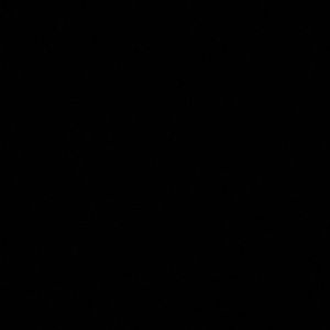 Meet your Posher, Chase